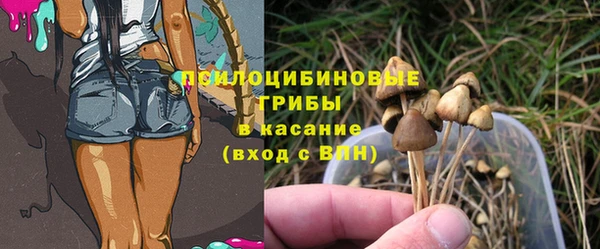 амф Абдулино