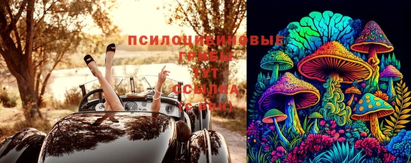 амф Абдулино